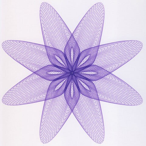 purple-flower.jpg